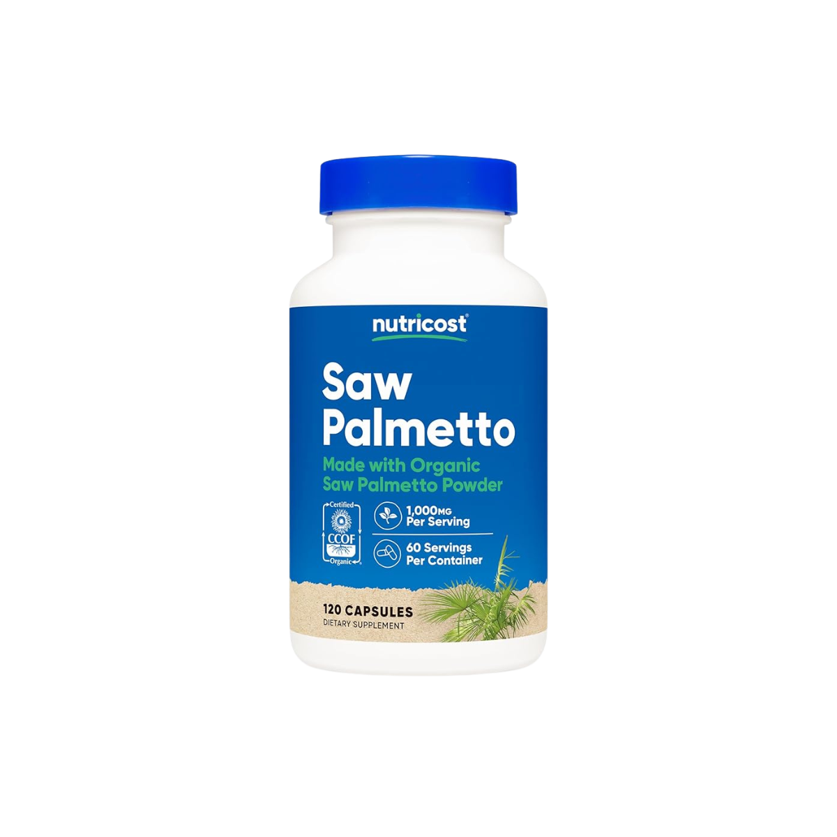 Saw Palmetto