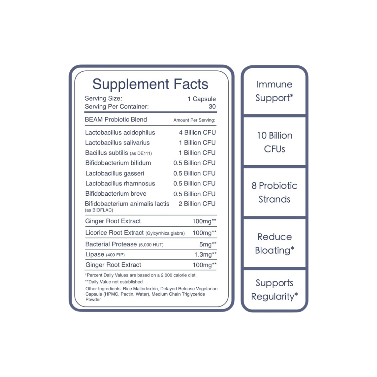 Gut Health Probiotic
