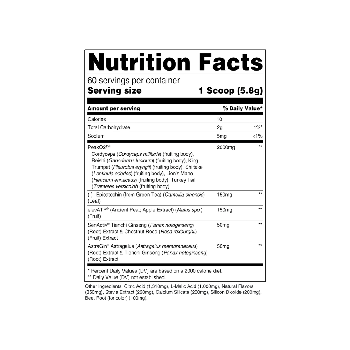 Build