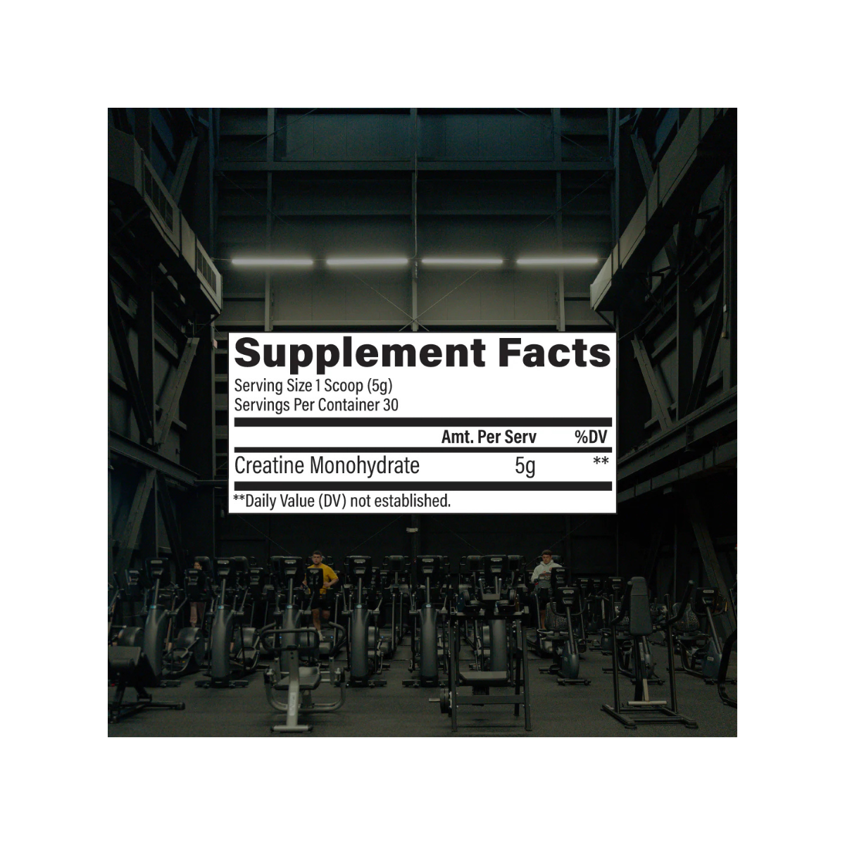 Creatine Monohydrate