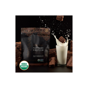 Plant Based Protein Powder