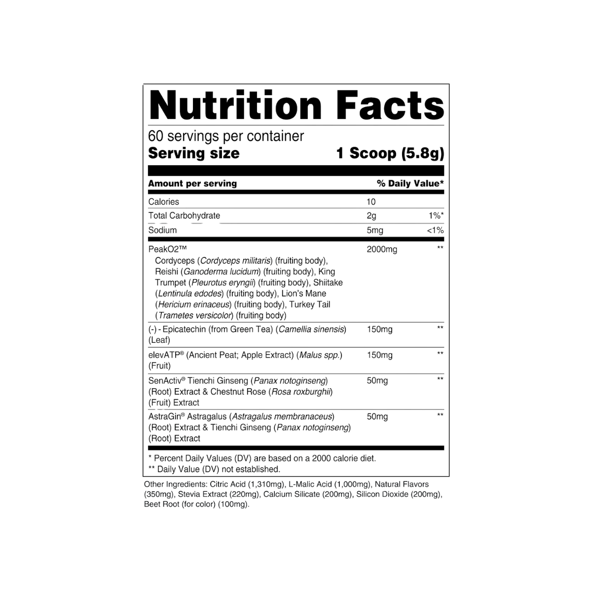 Build